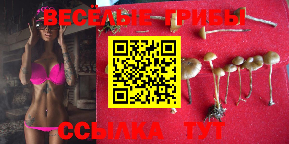 Галлюциногенные грибы Cubensis Бугуруслан